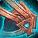 Harmonious Spaulders